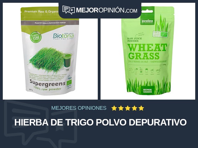 Hierba de trigo Polvo Depurativo