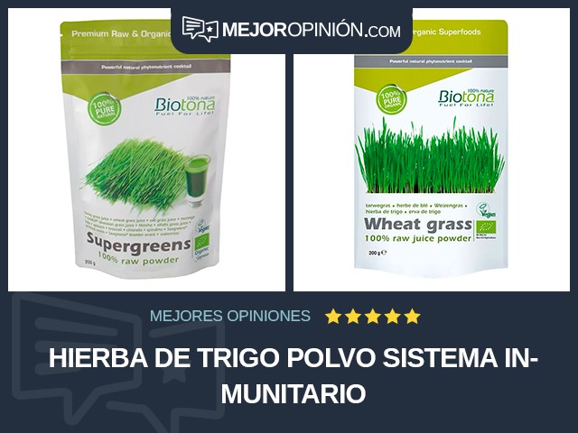 Hierba de trigo Polvo Sistema inmunitario