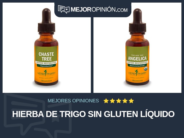 Hierba de trigo Sin gluten Líquido