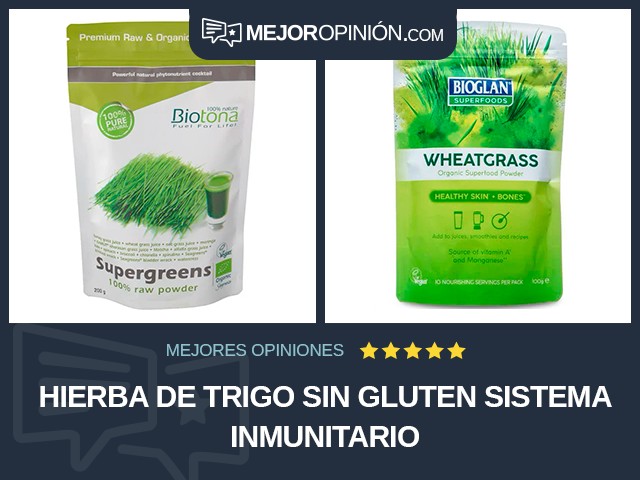 Hierba de trigo Sin gluten Sistema inmunitario