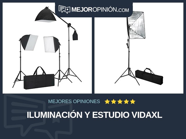 Iluminación y estudio vidaXL