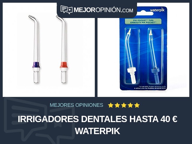 Irrigadores dentales Hasta 40 € Waterpik