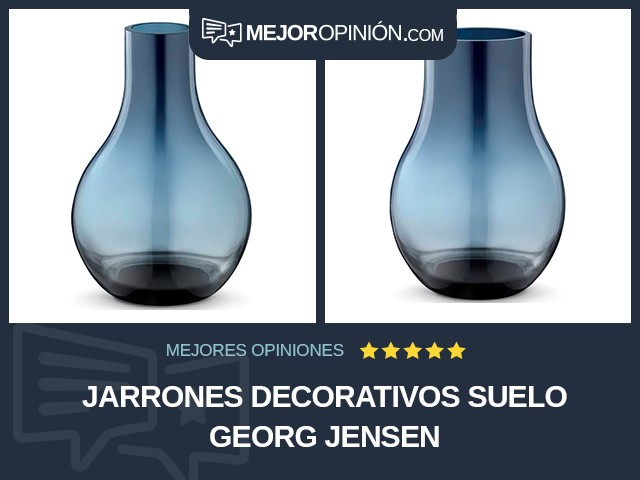 Jarrones decorativos Suelo Georg Jensen