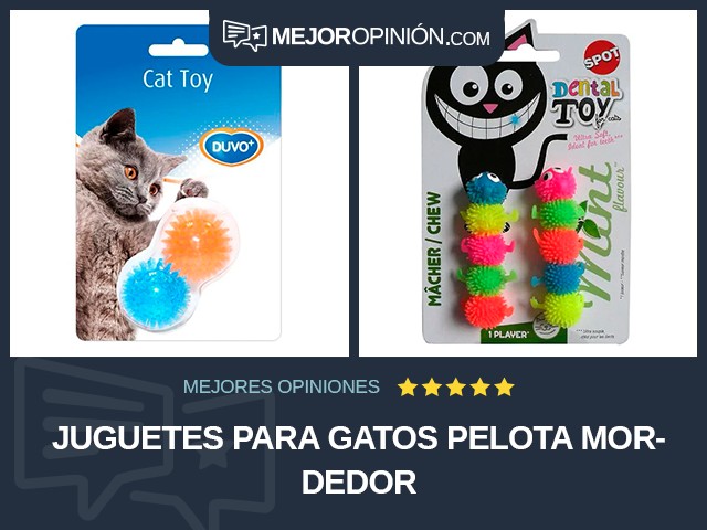 Juguetes para gatos Pelota Mordedor