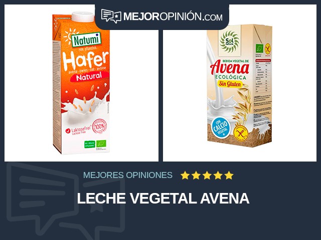 Leche vegetal Avena