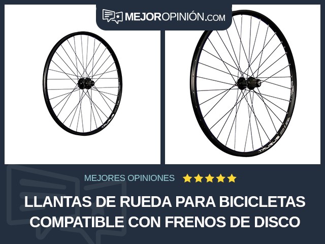 Llantas de rueda para bicicletas Compatible con frenos de disco Rueda trasera