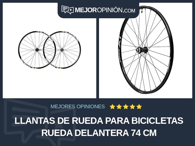 Llantas de rueda para bicicletas Rueda delantera 74 cm