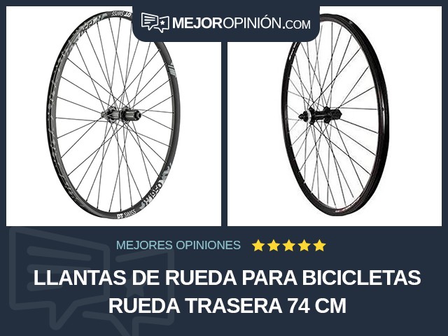 Llantas de rueda para bicicletas Rueda trasera 74 cm