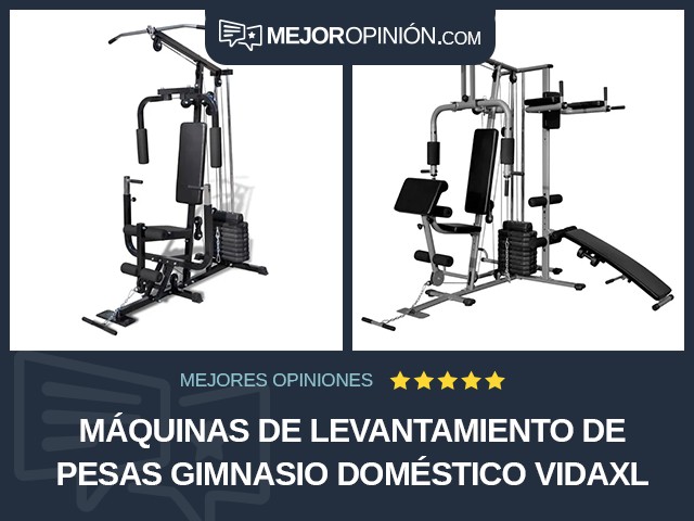 Máquinas de levantamiento de pesas Gimnasio doméstico vidaXL