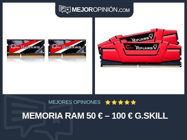 Memoria RAM 50 € – 100 € G.SKILL