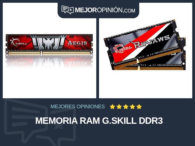 Memoria RAM G.SKILL DDR3