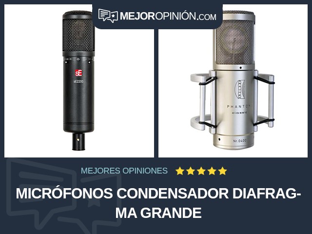 Micrófonos Condensador Diafragma grande