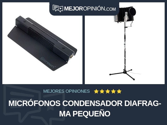 Micrófonos Condensador Diafragma pequeño