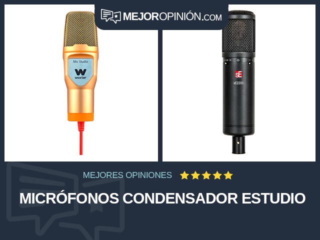 Micrófonos Condensador Estudio