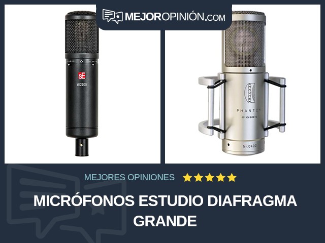 Micrófonos Estudio Diafragma grande