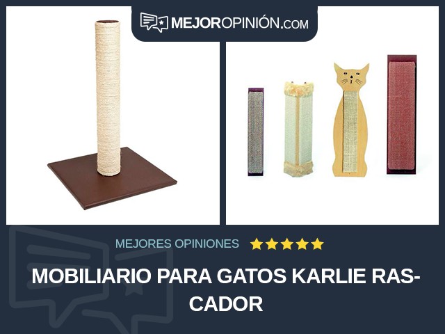 Mobiliario para gatos Karlie Rascador