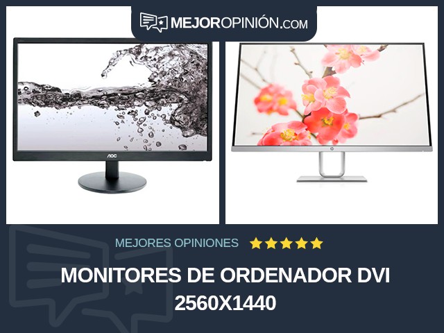 Monitores de ordenador DVI 2560x1440