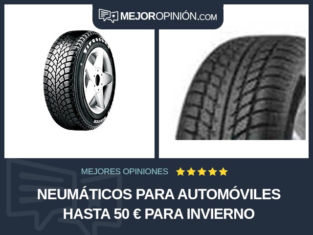 Neumáticos para automóviles Hasta 50 € Para invierno