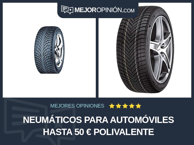 Neumáticos para automóviles Hasta 50 € Polivalente