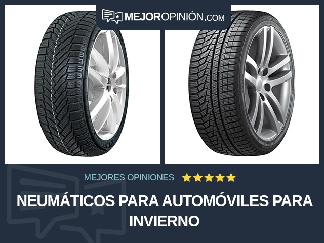 Neumáticos para automóviles Para invierno