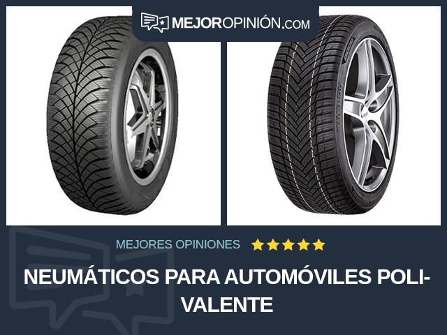 Neumáticos para automóviles Polivalente