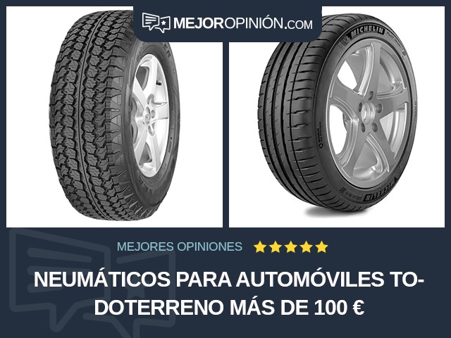 Neumáticos para automóviles Todoterreno Más de 100 €