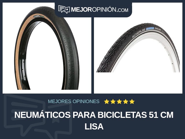 Neumáticos para bicicletas 51 cm Lisa