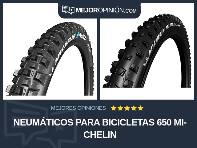 Neumáticos para bicicletas 650 Michelin