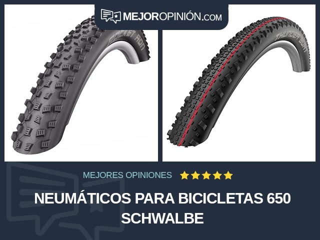 Neumáticos para bicicletas 650 Schwalbe