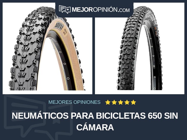 Neumáticos para bicicletas 650 Sin cámara