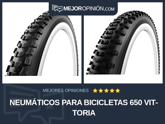 Neumáticos para bicicletas 650 Vittoria