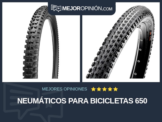 Neumáticos para bicicletas 650