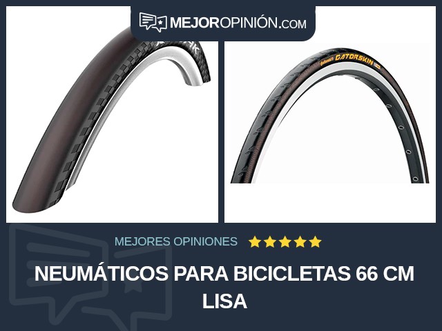 Neumáticos para bicicletas 66 cm Lisa