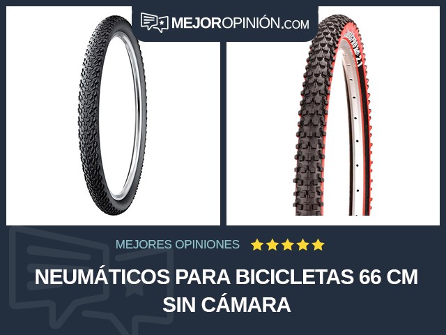 Neumáticos para bicicletas 66 cm Sin cámara