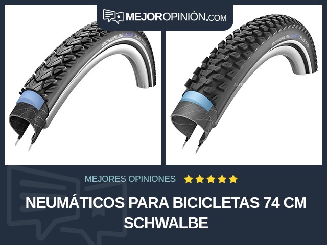 Neumáticos para bicicletas 74 cm Schwalbe