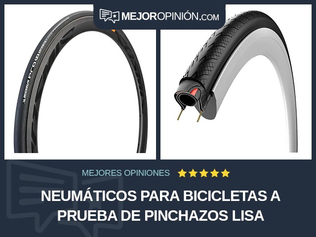 Neumáticos para bicicletas A prueba de pinchazos Lisa