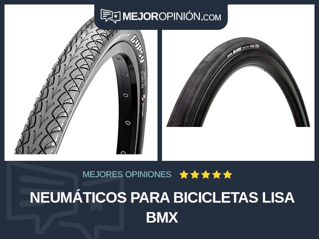 Neumáticos para bicicletas Lisa BMX