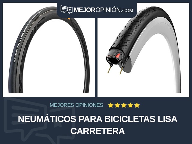 Neumáticos para bicicletas Lisa Carretera