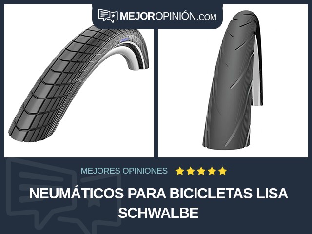 Neumáticos para bicicletas Lisa Schwalbe