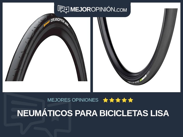 Neumáticos para bicicletas Lisa