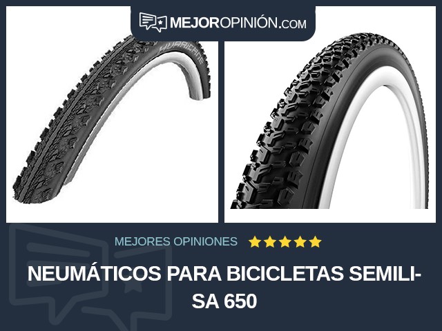 Neumáticos para bicicletas Semilisa 650