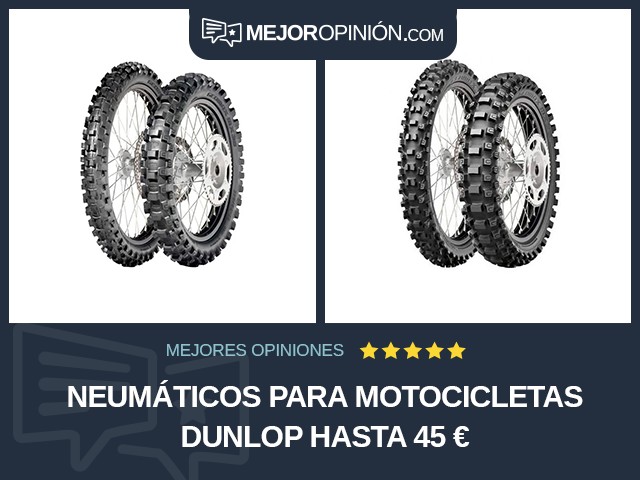 Neumáticos para motocicletas Dunlop Hasta 45 €