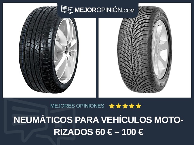 Neumáticos para vehículos motorizados 60 € – 100 €