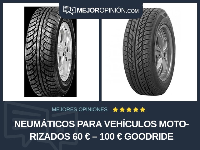 Neumáticos para vehículos motorizados 60 € – 100 € Goodride