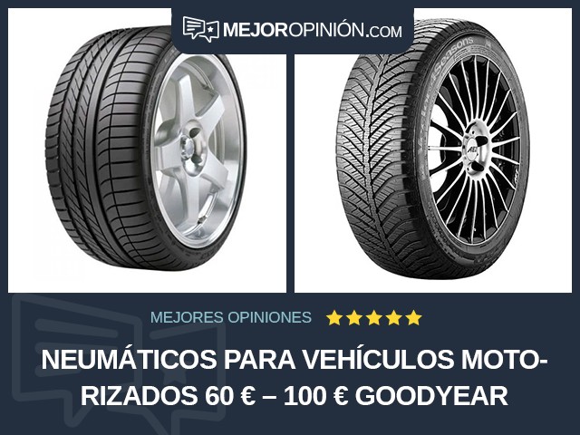 Neumáticos para vehículos motorizados 60 € – 100 € Goodyear