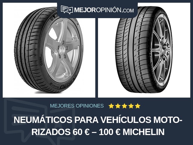 Neumáticos para vehículos motorizados 60 € – 100 € Michelin