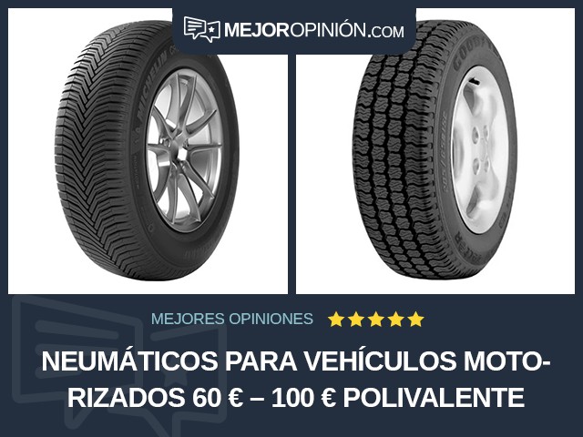 Neumáticos para vehículos motorizados 60 € – 100 € Polivalente