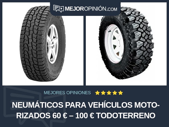 Neumáticos para vehículos motorizados 60 € – 100 € Todoterreno