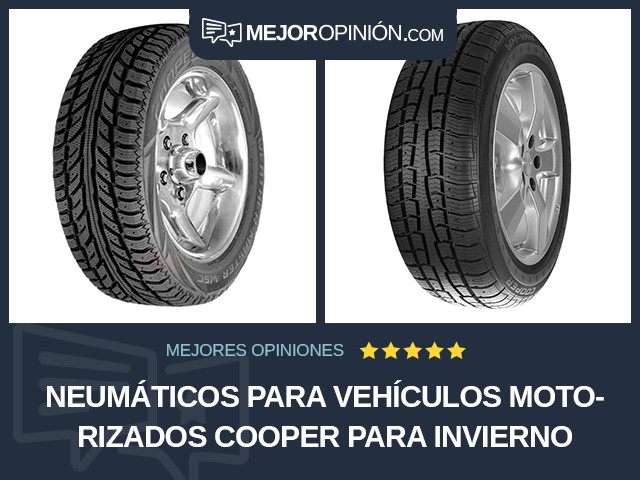 Neumáticos para vehículos motorizados Cooper Para invierno