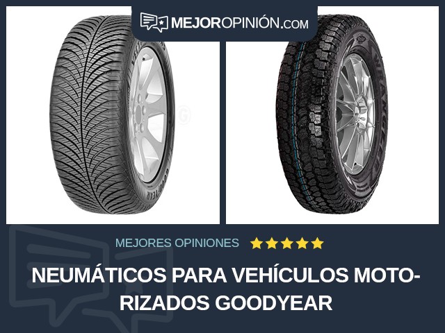 Neumáticos para vehículos motorizados Goodyear